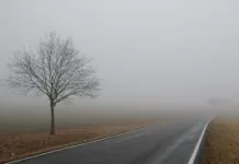 В ближайший час и вечером в Бишкеке и Чуйской области ожидается туман. Штормовое предупреждение распространило МЧС