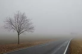 В ближайший час и вечером в Бишкеке и Чуйской области ожидается туман. Штормовое предупреждение распространило МЧС