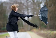 В Бишкеке и Чуйской области ожидается сильный ветер