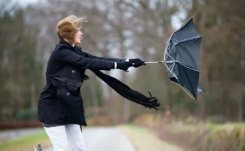 В Бишкеке и Чуйской области ожидается сильный ветер