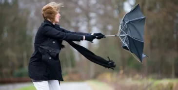 В Бишкеке и Чуйской области ожидается сильный ветер Главная