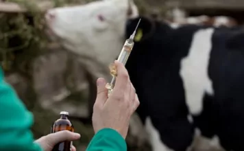 В Кыргызстане построят завод по производству вакцин для животных