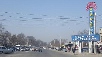 Сокулукта 45,8 млн сомдук жер мамлекетке кайтарылды