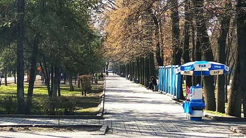 Проспект Молодой Гвардии в Бишкеке станет улицей Айдарбекова