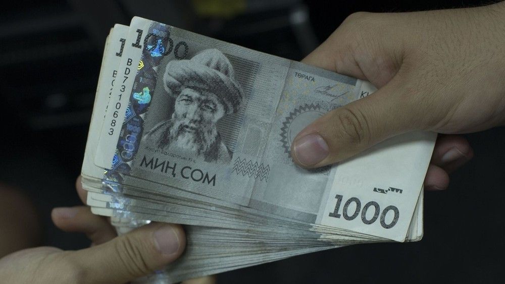 Соцфонд озвучил размер средней и минимальной пенсии в 2026 году Главная