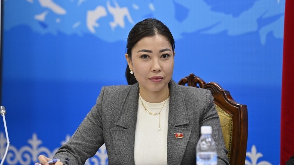 Аида Исатбек кызы назначена замминистра труда, соцобеспечения и миграции