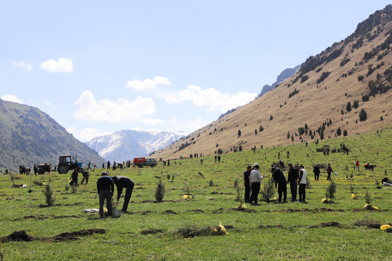 354215e2 03e0 4ab1 a013 6cfd1a7a88fa таласта “жашыл мурас” улуттук компаниясынын алкагында 100 миң гектар аянтка көчөт отургузуу жараяны башталды