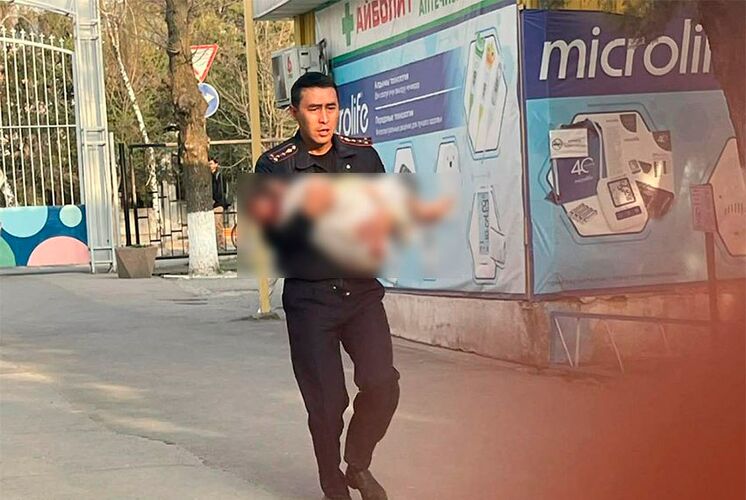 Шестилетний ребенок попал в реанимацию после нападения собак в Бишкеке