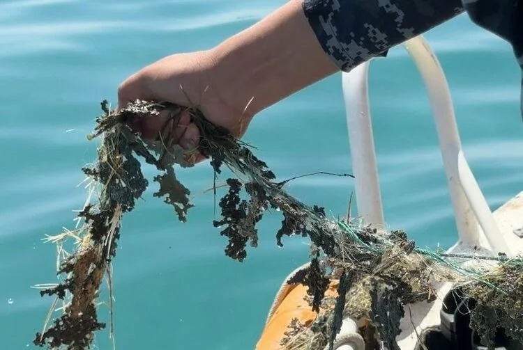 Глава государства призвал отказаться от рыболовных сетей и сдать их добровольно