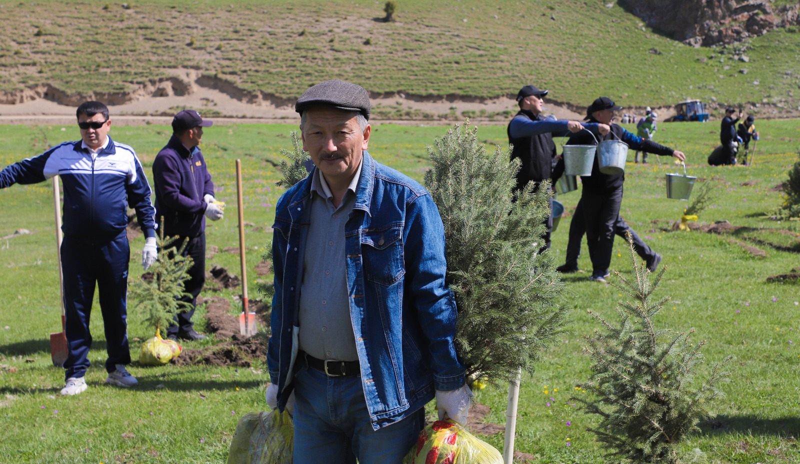 625e8c5e 3169 485d a050 bf8f5bd2c203 таласта “жашыл мурас” улуттук компаниясынын алкагында 100 миң гектар аянтка көчөт отургузуу жараяны башталды