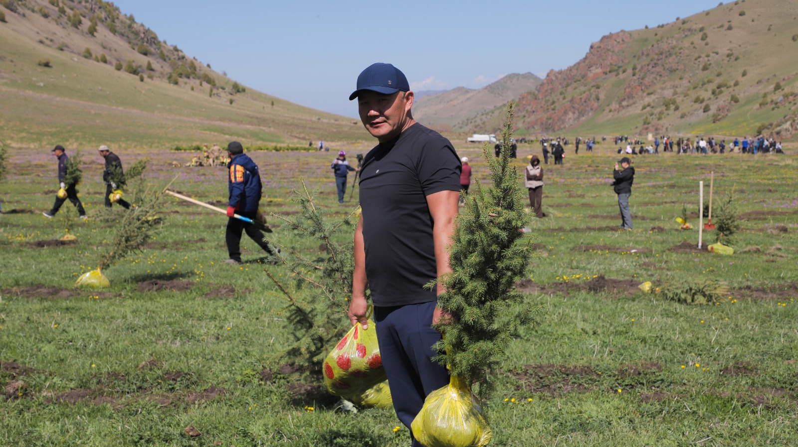 C17cbd86 b2ea 401b af2a 63728f80a1fe таласта “жашыл мурас” улуттук компаниясынын алкагында 100 миң гектар аянтка көчөт отургузуу жараяны башталды