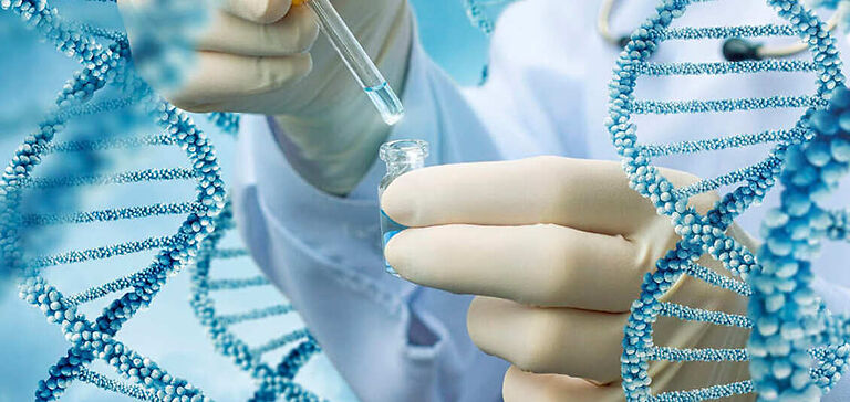 В Кыргызстане начали проводить ДНК-анализы