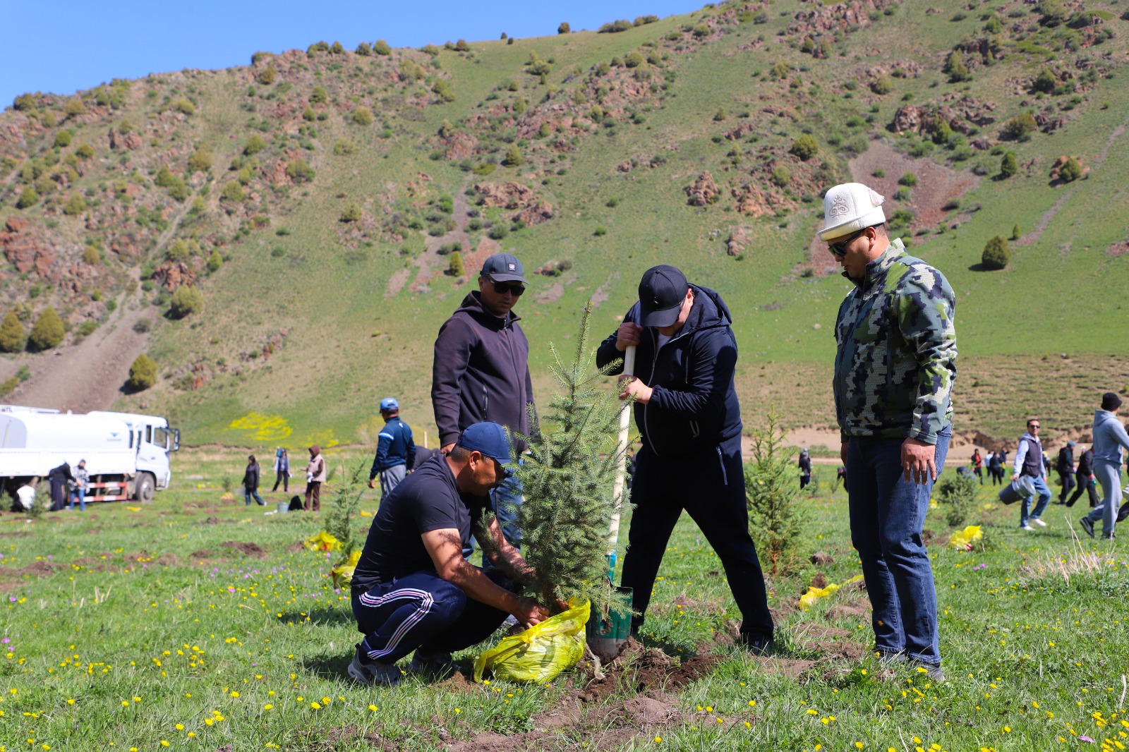 Edf57a88 d524 4bc5 9713 83cc8e35d652 таласта “жашыл мурас” улуттук компаниясынын алкагында 100 миң гектар аянтка көчөт отургузуу жараяны башталды