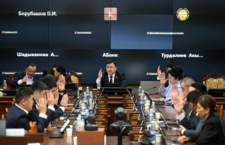 Депутаты ЖК одобрили выделение почти 1 миллиарда сомов. На что пойдут средства