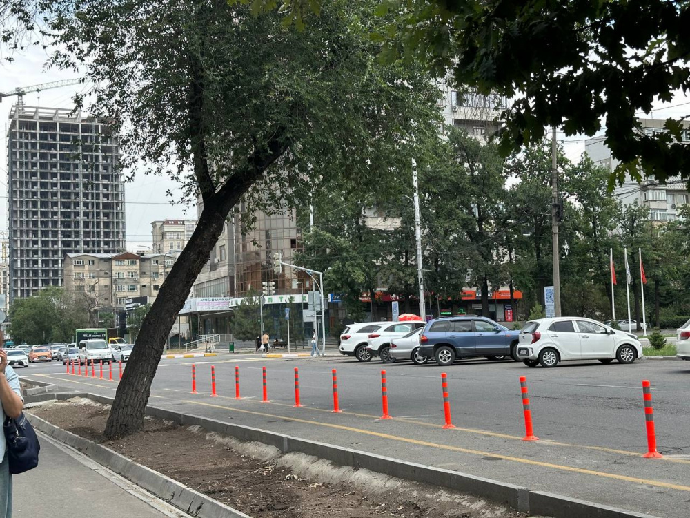 В Бишкеке на улице Токтогула началось тестирование разделителей для велодорожки