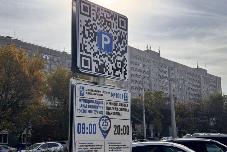 Бишкекчан начали штрафовать за неоплаченную парковку Главная