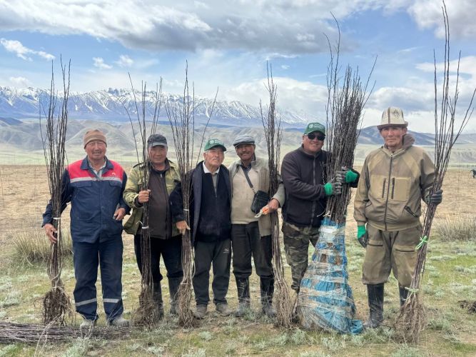 448267 w h500 1780645808 r борьба с изменением климата: фао высадила более 400 тысяч деревьев в кыргызстане