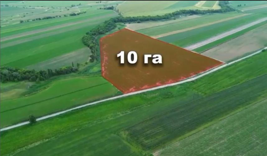 450845 w h500 1781678377 r укмк сокулук районундагы 20 гектар жерди мамлекетке кайтарды