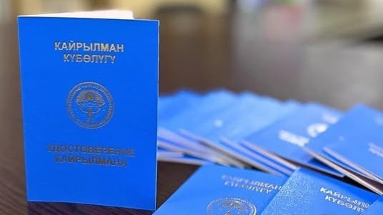 В Кыргызстане с начала года 387 этнических кыргызов получили статус кайрылмана Главная